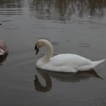 IMG_2645
