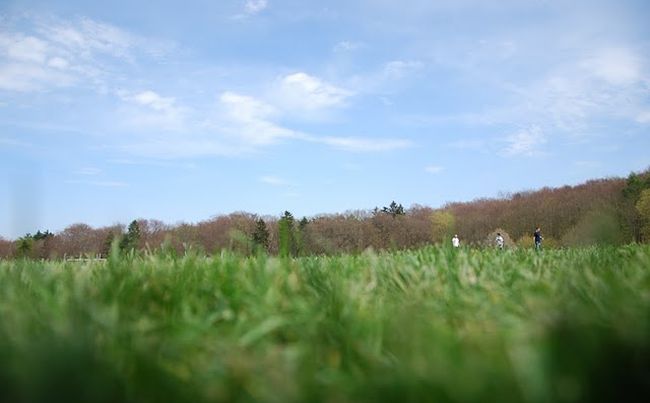 You are currently viewing Meisterjahn erlöst den RSV! Last-Minute Sieg gegen Burgsolms