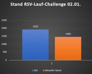 Read more about the article Lauf-Challenge: 1469 Kilometer als Zwischenstand