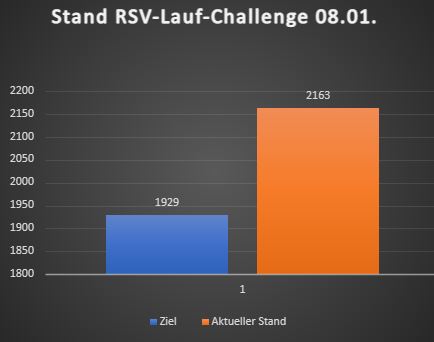You are currently viewing Lauf-Challenge: Auf zum Endspurt